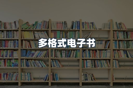多格式电子书
